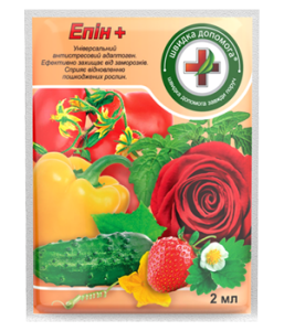 епін