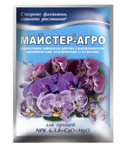 орхід