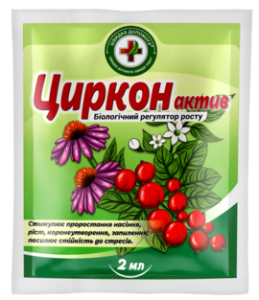 циркон